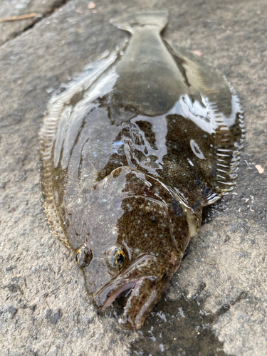 新居海釣公園