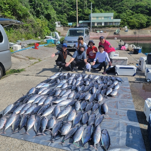 カツオの釣果