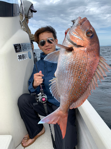 マダイの釣果