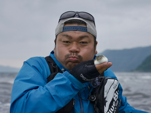 クサフグの釣果