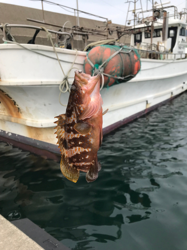 堅苔沢漁港