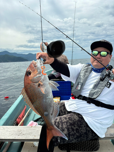 マダイの釣果