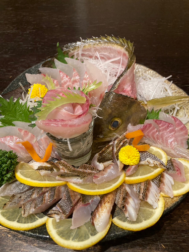 イサキの釣果