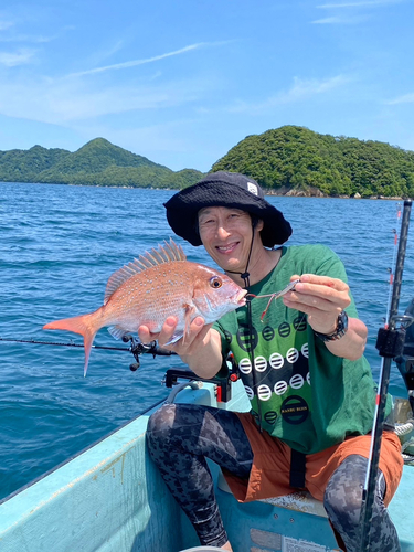 マダイの釣果