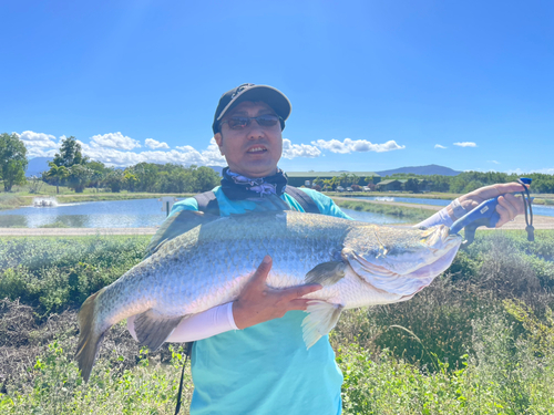 バラマンディの釣果