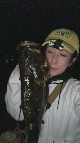 タケノコメバルの釣果