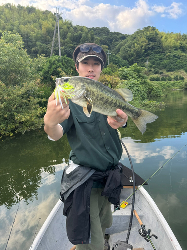 ブラックバスの釣果