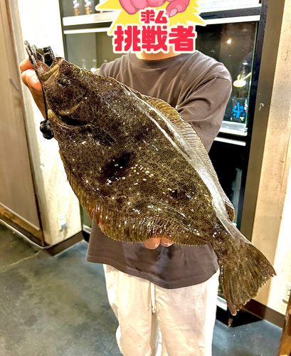 ヒラメの釣果