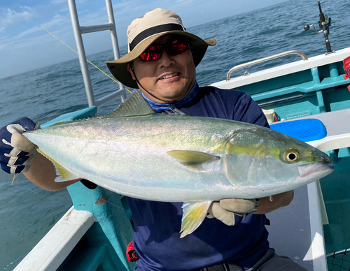 ワラサの釣果