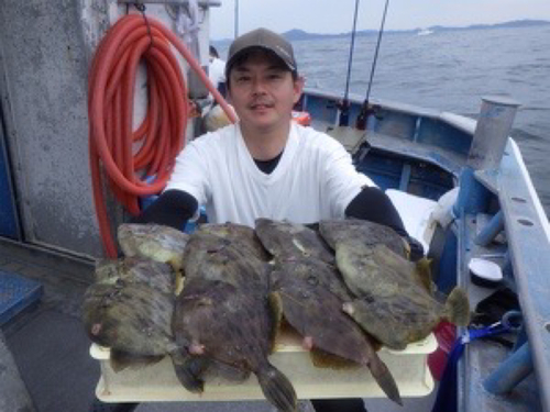 カワハギの釣果