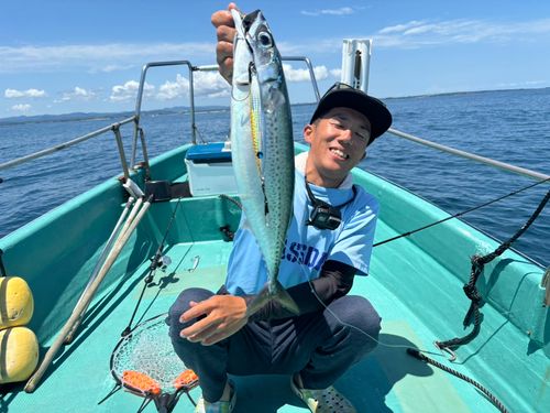 ゴマサバの釣果