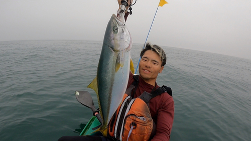 ヒラマサの釣果