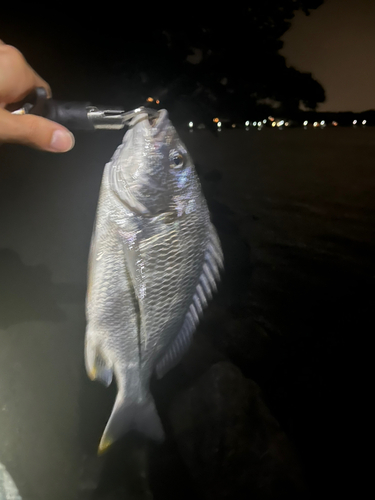 奥浜名湖