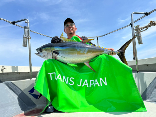 キハダマグロの釣果