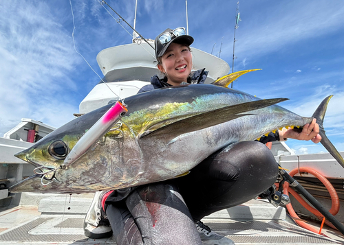 キハダマグロの釣果