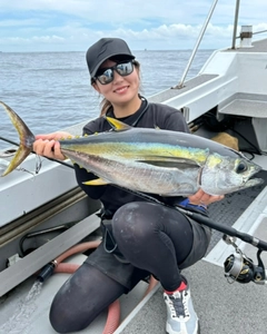 キハダマグロの釣果