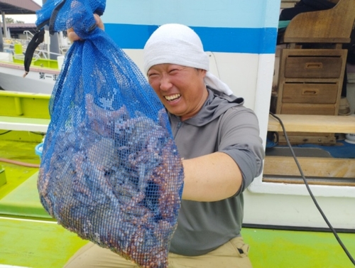 マダコの釣果