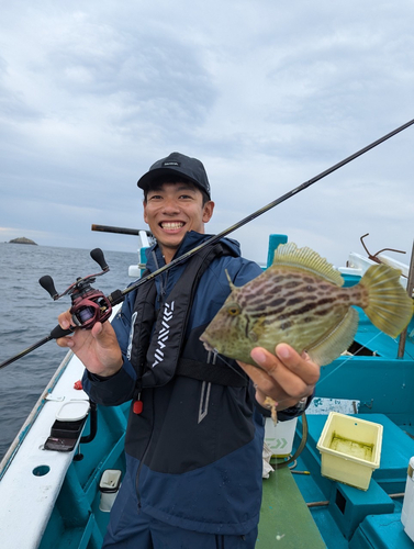 カワハギの釣果