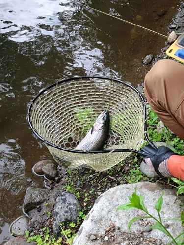 長野県南部