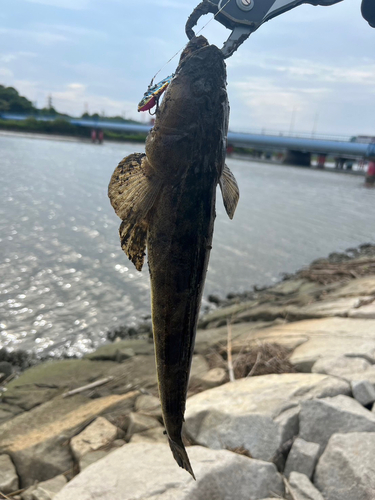 オリジナルメーカー海釣り公園