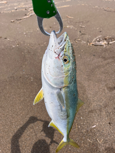 柿崎中央海水浴場