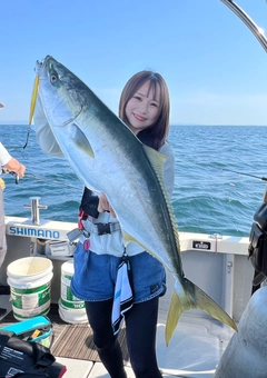 ブリの釣果