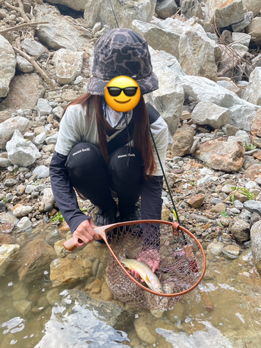 イワナの釣果