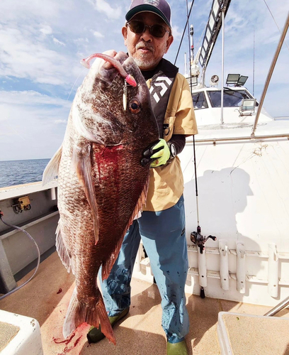 タイの釣果