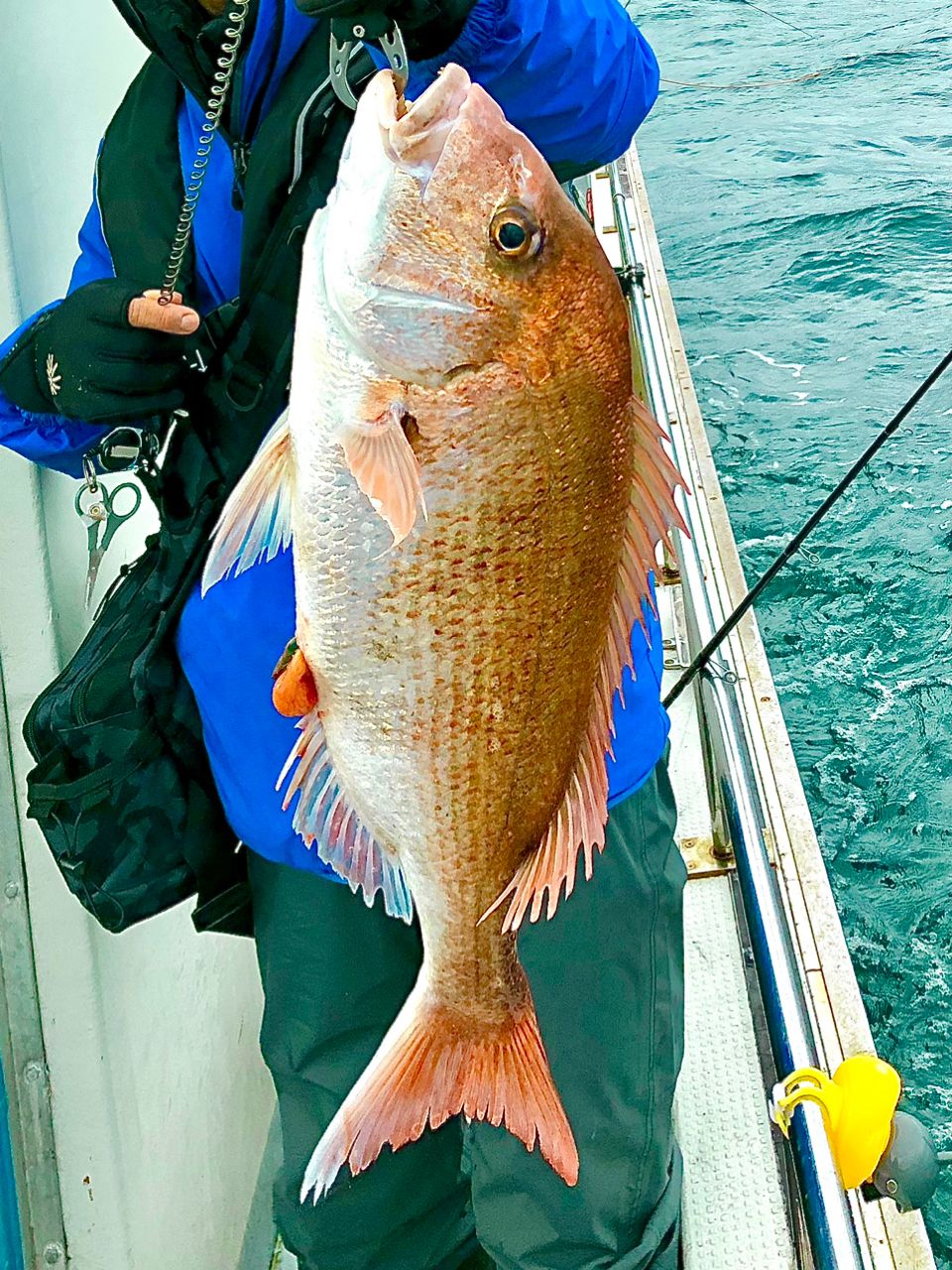 ケンBOUさんの釣果 2枚目の画像