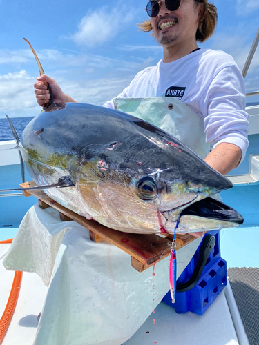 キハダマグロの釣果