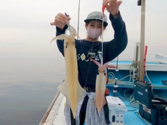 ケンサキイカの釣果