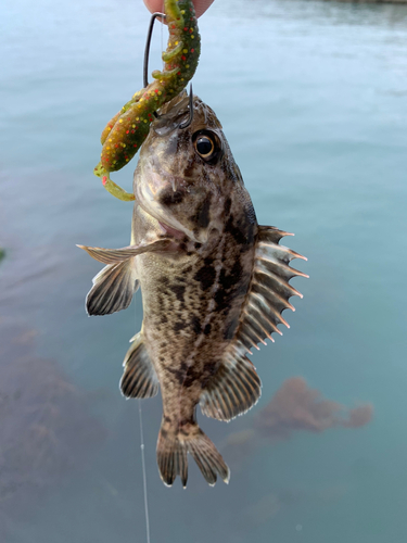 浜益漁港