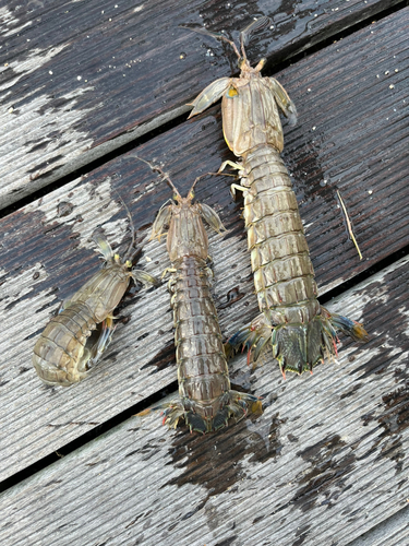 仙台港中央公園