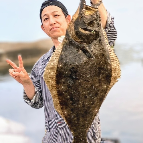 ヒラメの釣果