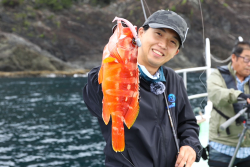 オオモンハタの釣果