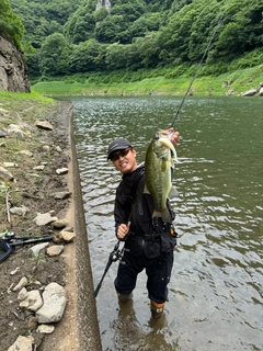 ブラックバスの釣果