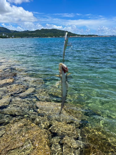 沖縄本島北部