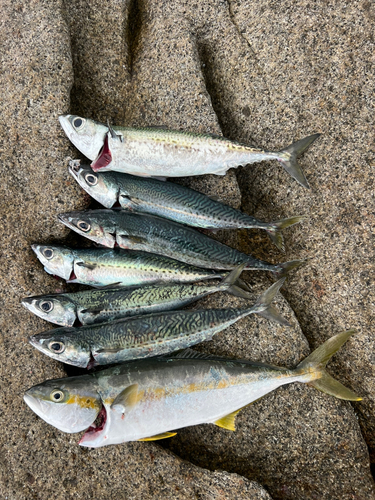 大隅海峡