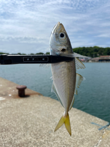 鰺ヶ沢漁港