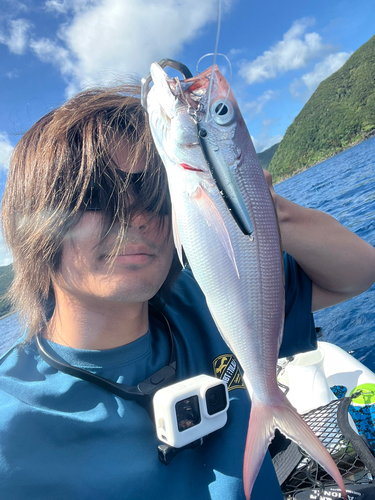 オオグチイシチビキの釣果