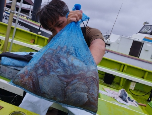 マダコの釣果