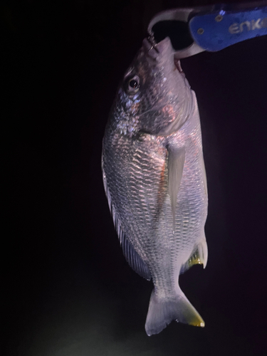 表浜名湖