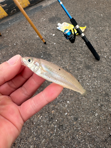 霞釣り公園