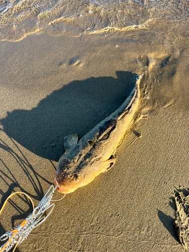 内灘海岸