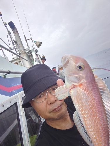 シロアマダイの釣果