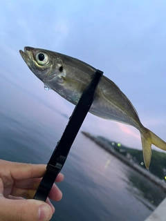 釣果