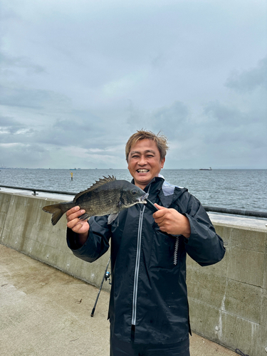 金沢水際線緑地（福浦岸壁）