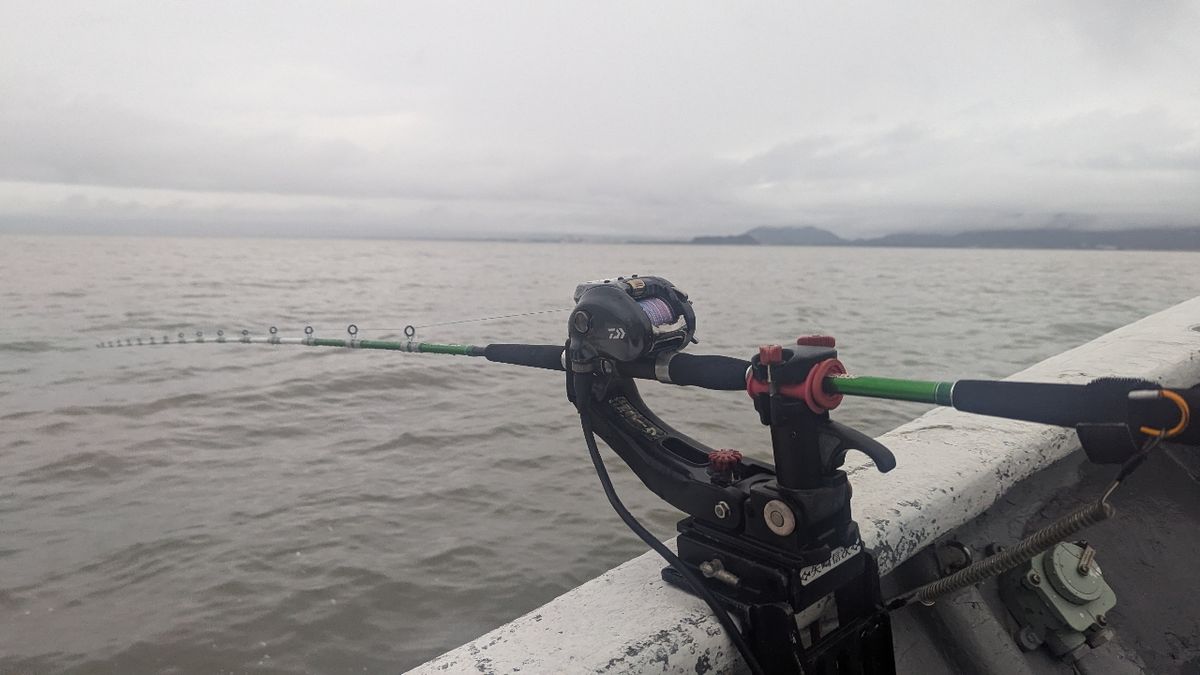 ソエソエさんの釣果 2枚目の画像