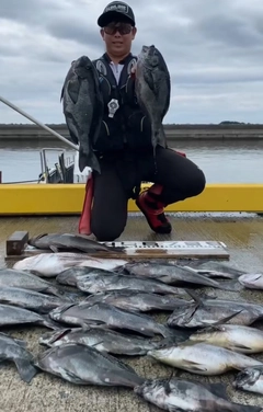 クチブトグレの釣果