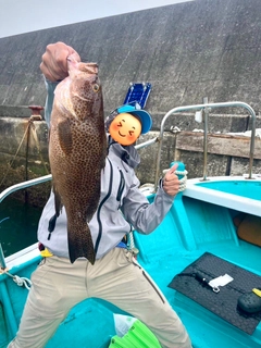 オオモンハタの釣果